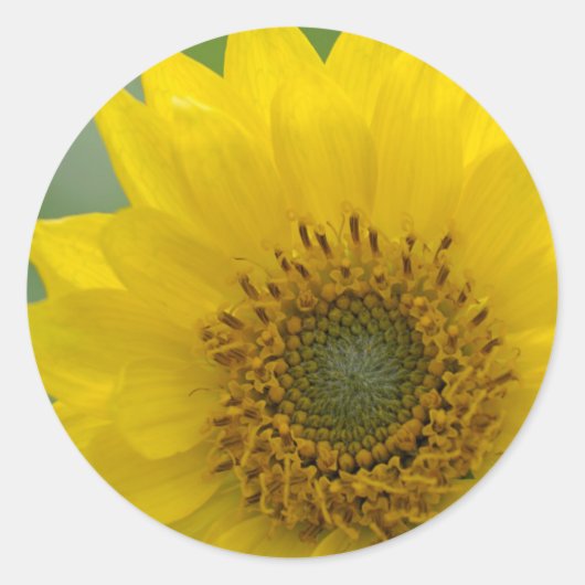 Canada, British Columbia, Vancouver Island 7 Ronde Sticker (Voorkant)