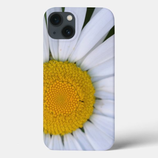 Canada, British Columbia, Vancouver Island 8 Case-Mate iPhone Case (Achterkant)