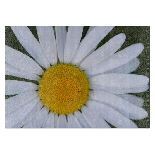 Canada, British Columbia, Vancouver Island 8 Snijplank (Voorkant)