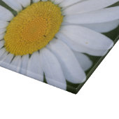 Canada, British Columbia, Vancouver Island 8 Snijplank (Hoek)