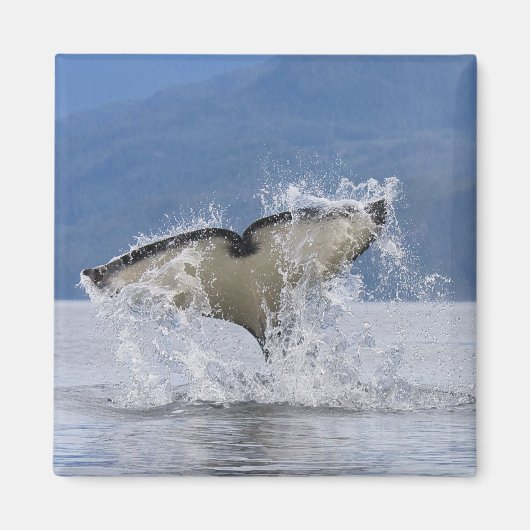 Canada, British Columbia, Vancouver Island; Magneet (Voorkant)