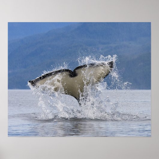 Canada, British Columbia, Vancouver Island; Poster (Voorkant)