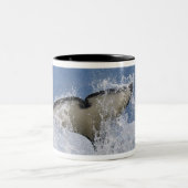 Canada, British Columbia, Vancouver Island; Tweekleurige Koffiemok (Center)