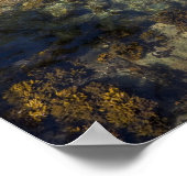 Canada, British Columbia, Vancouver Island. Zee Poster (Hoek)