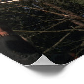 Canada, British Columbia, Vancouver. Native Poster (Hoek)