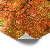 CANADA, British Columbia, Victoria. herfst. 2 Poster (Hoek)