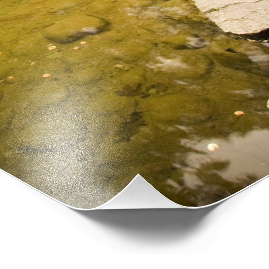 CANADA, British Columbia, Victoria. herfst Foto Afdruk (Hoek)