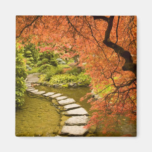 CANADA, British Columbia, Victoria. herfst Magneet