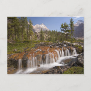 Canada, British Columbia, Yoho National Park. 2 Briefkaart