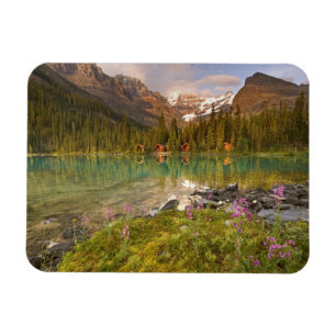 Canada, British Columbia, Yoho National Park. 2 Magneet