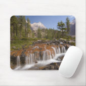 Canada, British Columbia, Yoho National Park. 2 Muismat (Met muis)