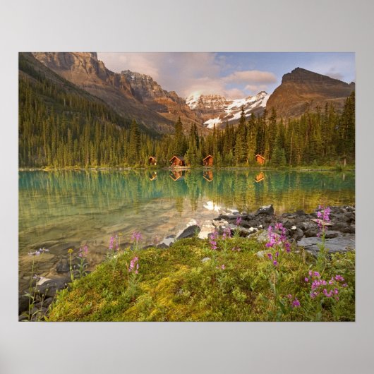 Canada, British Columbia, Yoho National Park. 2 Poster (Voorkant)