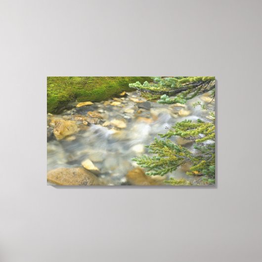 Canada, British Columbia, Yoho National Park. 4 Canvas Afdruk (Voorkant)