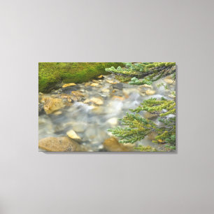 Canada, British Columbia, Yoho National Park. 4 Canvas Afdruk