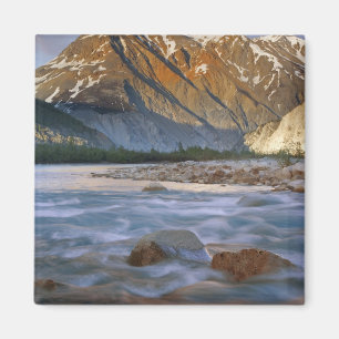 Canada, Brits-Columbia, Alsek riviervallei. Magneet