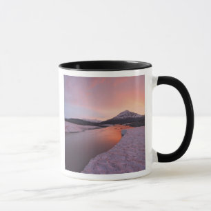 Canada, Brits-Columbia, Alsek riviervallei. Mok