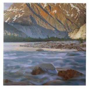 Canada, Brits-Columbia, Alsek riviervallei. Tegeltje