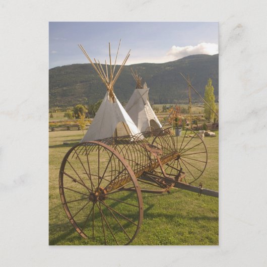 CANADA, Brits-Columbia, Enderby. Tepees & Briefkaart (Voorkant)