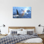 Canada, Brits-Columbia, Johnstone Straight, Canvas Afdruk (Insitu (Slaapkamer))
