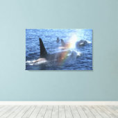 Canada, Brits-Columbia, Johnstone Straight, Canvas Afdruk (Insitu (Houten vloer))