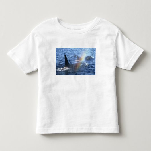 Canada, Brits-Columbia, Johnstone Straight, Kinder Shirts (Voorkant)