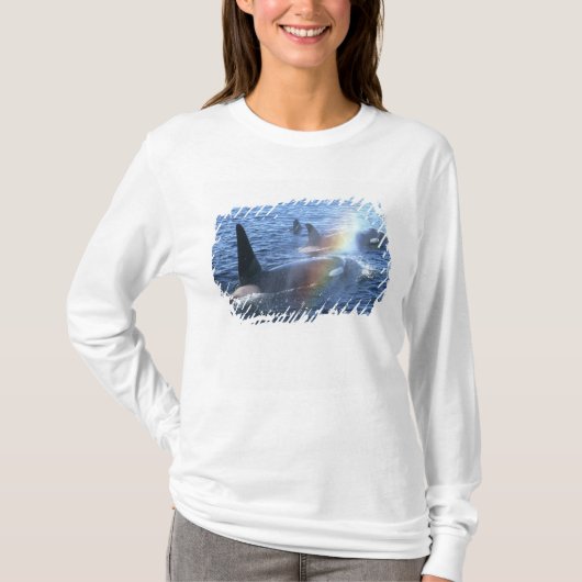 Canada, Brits-Columbia, Johnstone Straight, T-shirt (Voorkant)