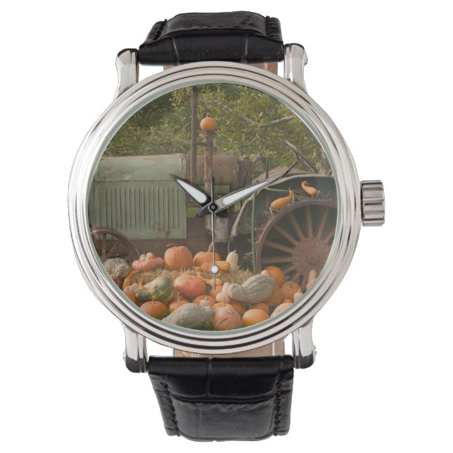 CANADA, Brits-Columbia, Keremeos. Herfst / 2 Horloge (Voorkant)