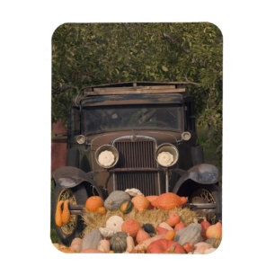 CANADA, Brits-Columbia, Keremeos. Herfst / 2 Magneet