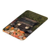 CANADA, Brits-Columbia, Keremeos. Herfst / 2 Magneet (Linkerzijde)