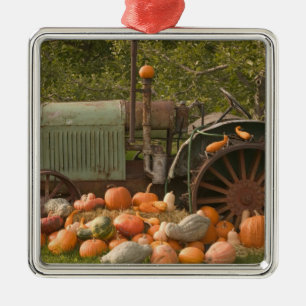 CANADA, Brits-Columbia, Keremeos. Herfst / 2 Metalen Ornament