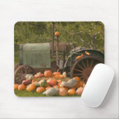 CANADA, Brits-Columbia, Keremeos. Herfst / 2 Muismat (Met muis)