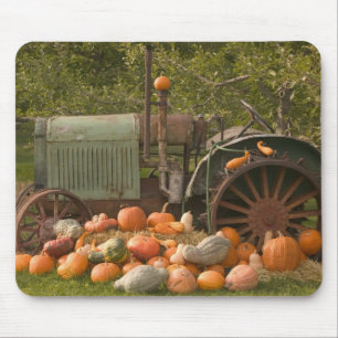CANADA, Brits-Columbia, Keremeos. Herfst / 2 Muismat