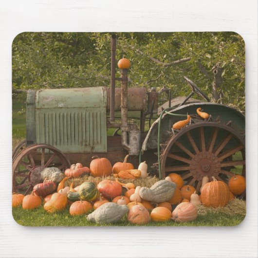 CANADA, Brits-Columbia, Keremeos. Herfst / 2 Muismat (Voorkant)