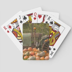 CANADA, Brits-Columbia, Keremeos. Herfst / 2 Pokerkaarten