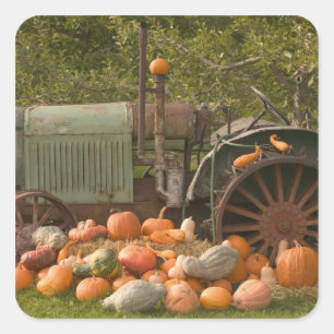 CANADA, Brits-Columbia, Keremeos. Herfst / 2 Vierkante Sticker