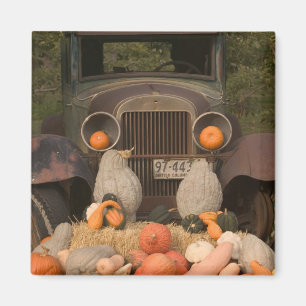 CANADA, Brits-Columbia, Keremeos. Herfst / Magneet