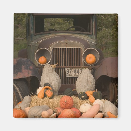 CANADA, Brits-Columbia, Keremeos. Herfst / Magneet (Voorkant)