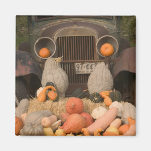 CANADA, Brits-Columbia, Keremeos. Herfst / Magneet