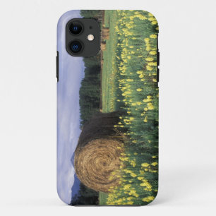 Canada, Brits-Columbia, Kitwanga. Geel iPhone 11 Hoesje