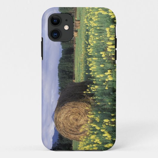 Canada, Brits-Columbia, Kitwanga. Geel Case-Mate iPhone Case (Achterkant)