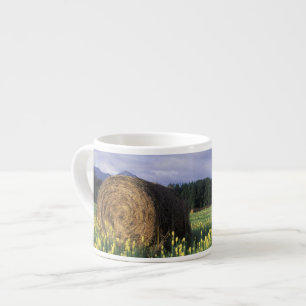 Canada, Brits-Columbia, Kitwanga. Geel Espresso Kop