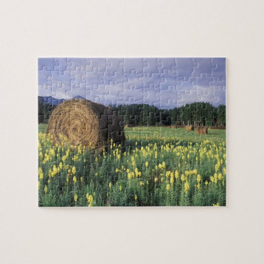 Canada, Brits-Columbia, Kitwanga. Geel Legpuzzel (Horizontaal)