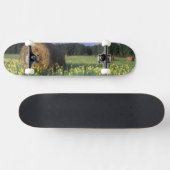 Canada, Brits-Columbia, Kitwanga. Geel Skateboard (Horizontaal)