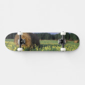 Canada, Brits-Columbia, Kitwanga. Geel Skateboard (Horizontaal)