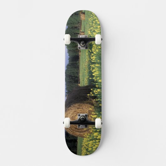 Canada, Brits-Columbia, Kitwanga. Geel Skateboard (Voorkant)