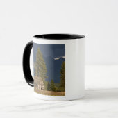 Canada, Brits-Columbia, Kootenay Rockies, Mok (Voorkant links)