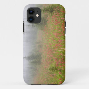 Canada, Brits-Columbia, Revelstoke Nationaal iPhone 11 Hoesje