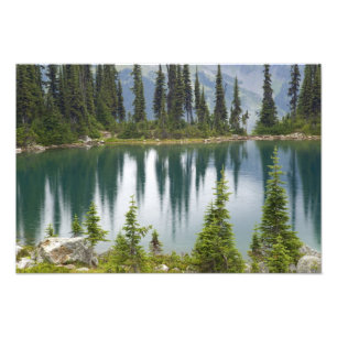 Canada, Brits-Columbia, Revelstoke Nationaal Foto Afdruk