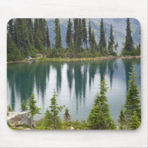 Canada, Brits-Columbia, Revelstoke Nationaal Muismat