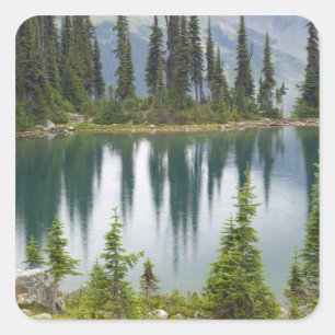 Canada, Brits-Columbia, Revelstoke Nationaal Vierkante Sticker